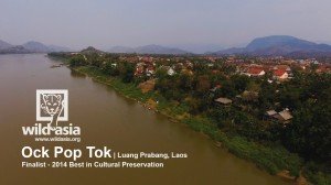 Wild_Asia_OPT_YT_04